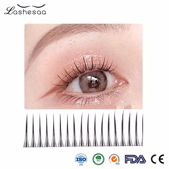 Venda imperdível Extensões de cílios planos elipse macios Extensões de cílios planos de caxemira Cílios postiços planos