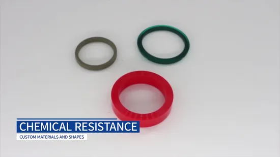 Linshi Customized Nitrile Fluorine Glue Silica Gel O-Ring